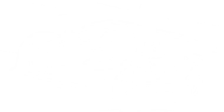Křídová skica závodního vozu Elise v barvách KT Motorsport.